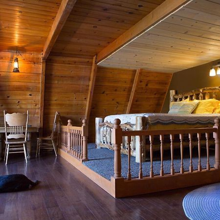 Hicksville Pines Chalets & Motel Idyllwild Exterior foto